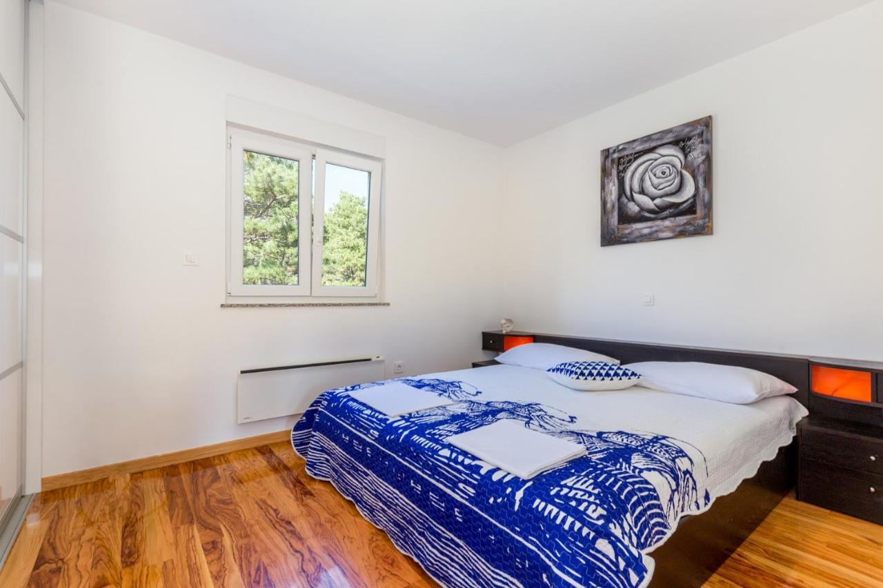 Apartman Aqua-Juric ツリクヴェニツァ エクステリア 写真