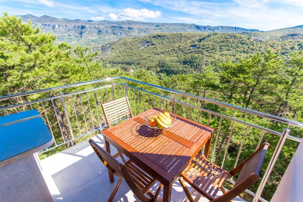 Apartman Aqua-Juric ツリクヴェニツァ エクステリア 写真